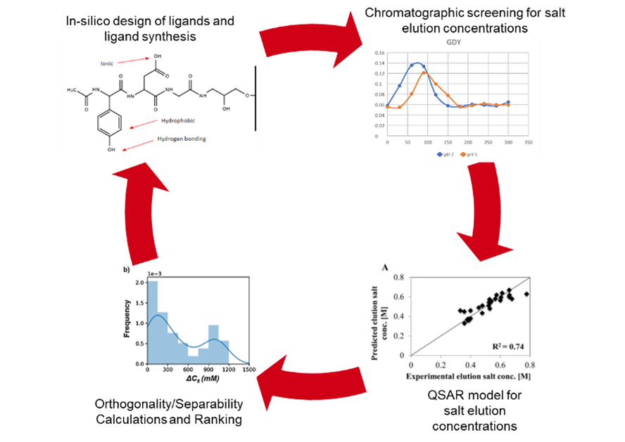 Expedited Process Development for clearing product and processes