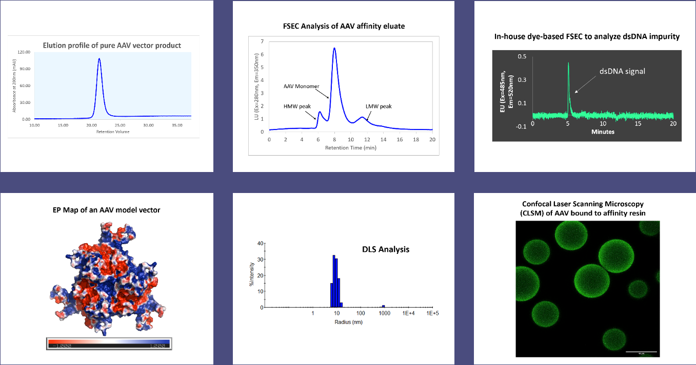 AAV Gene Therapy Downstream Bioprocessing The Cramer Research Lab