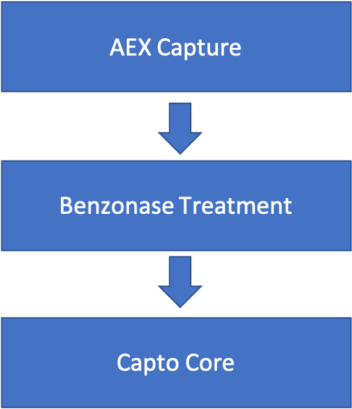 LVV Downstream Bioprocessing The Cramer Research Lab