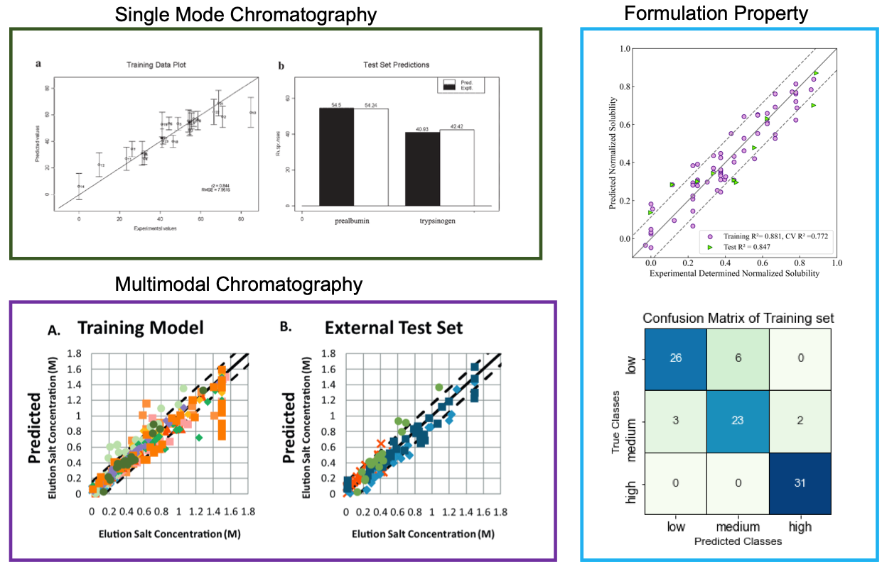 Predictive Models for Chromatographic Retention and Biophysical