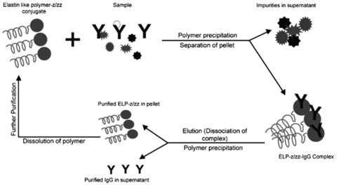 Madan et al. Journal of Biotechnology 2013, 163 (1)