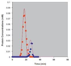 Modeling of HIC ammonium sulfate gradient elution. Squares: lysozyme; Circles: lectin