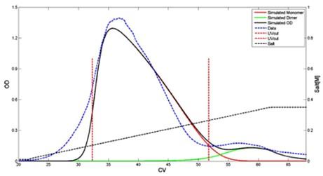 prediction of modified human growth hormone elution behavior using Capto Adhere resin with arginine hydrochloride eluent 