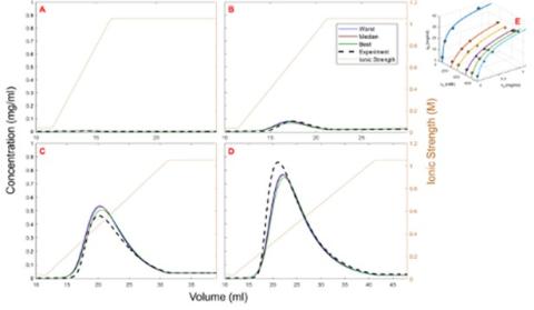 Prediction of multimodal anion-exchange elution behavior under various gradient slopes. 