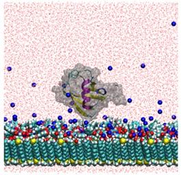 molecular dynamics model