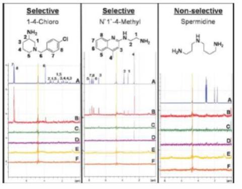 NMR diagram