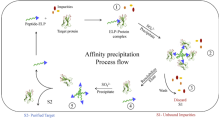 Affinity precipitation Process flow