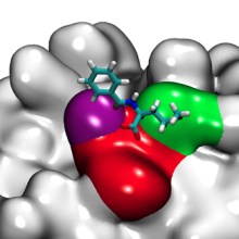 molecular dynamics