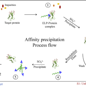 Affinity precipitation Process flow